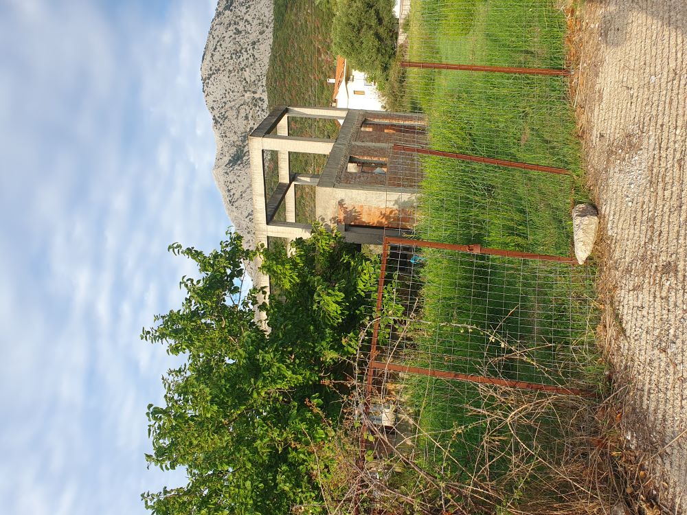 photo1