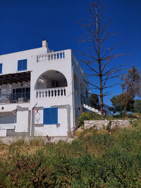 photo2