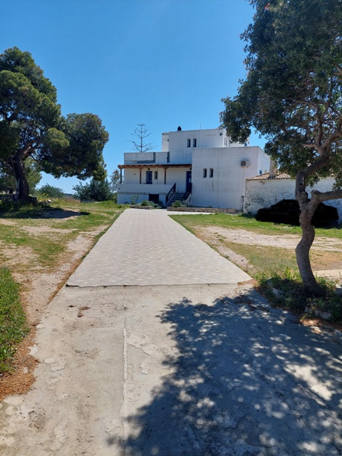 photo3