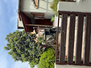 photo1