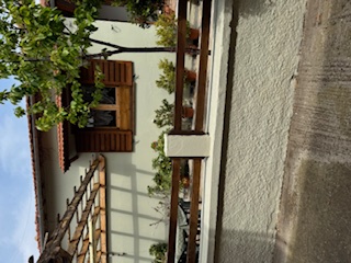 photo2