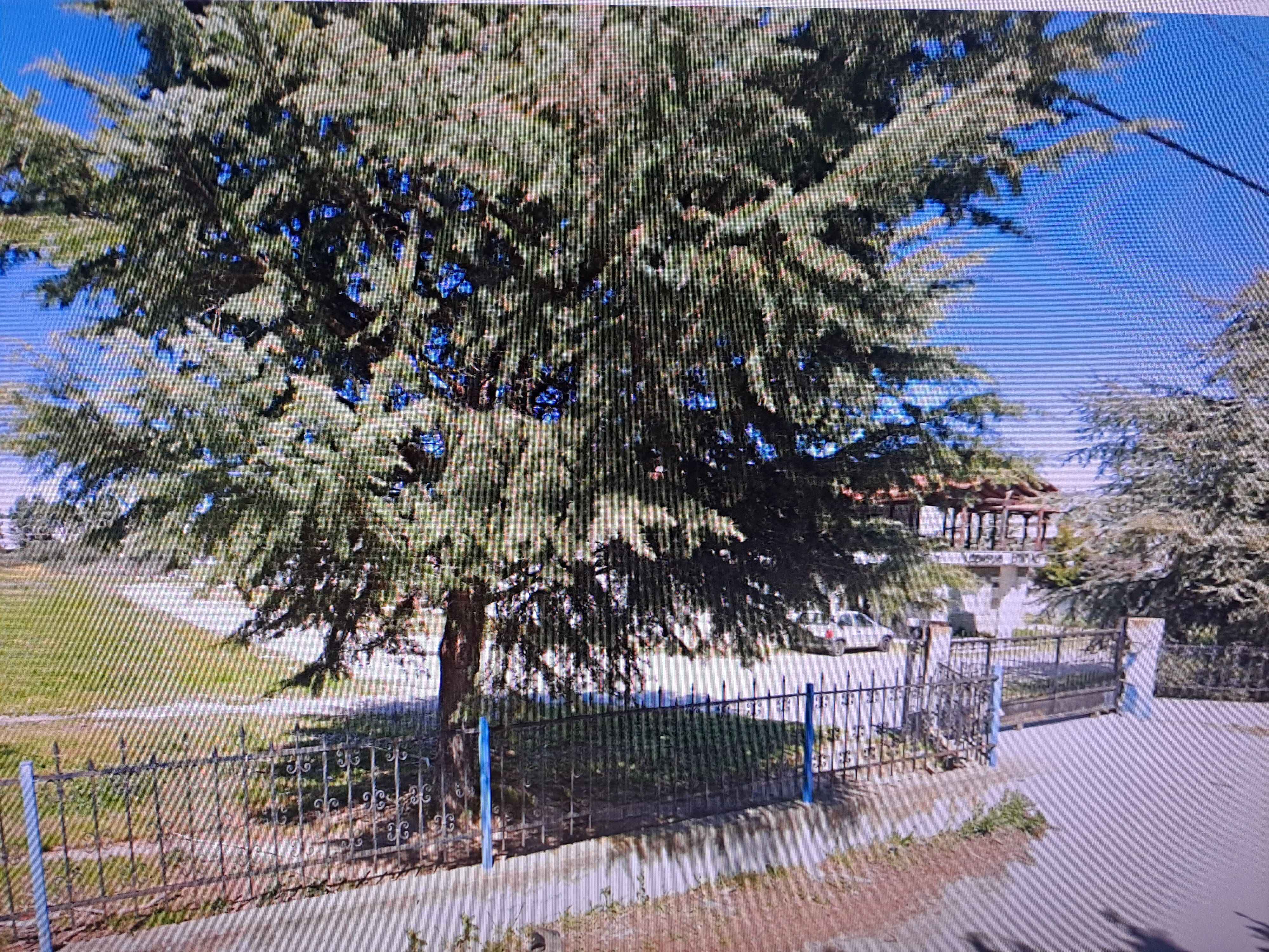 photo1