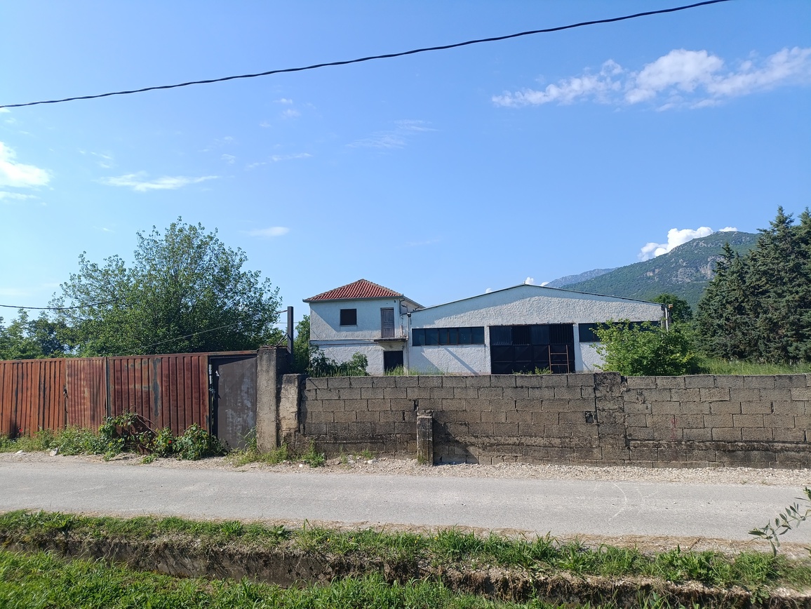 photo1