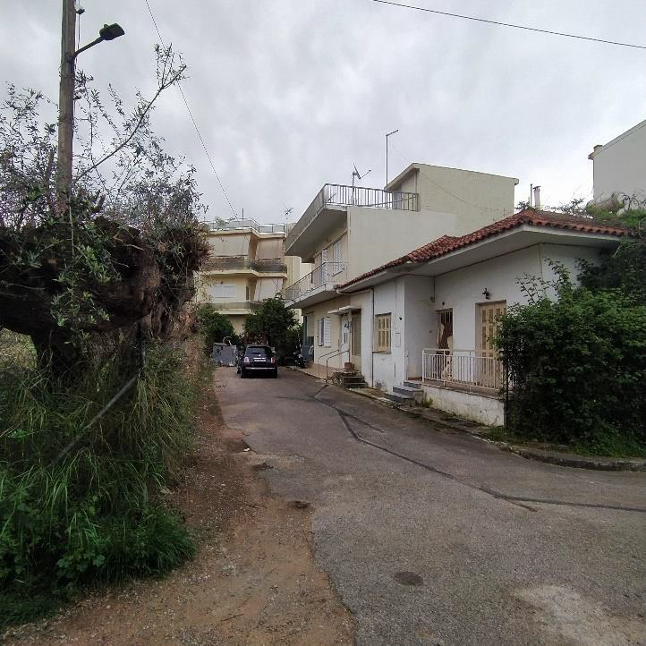 photo1