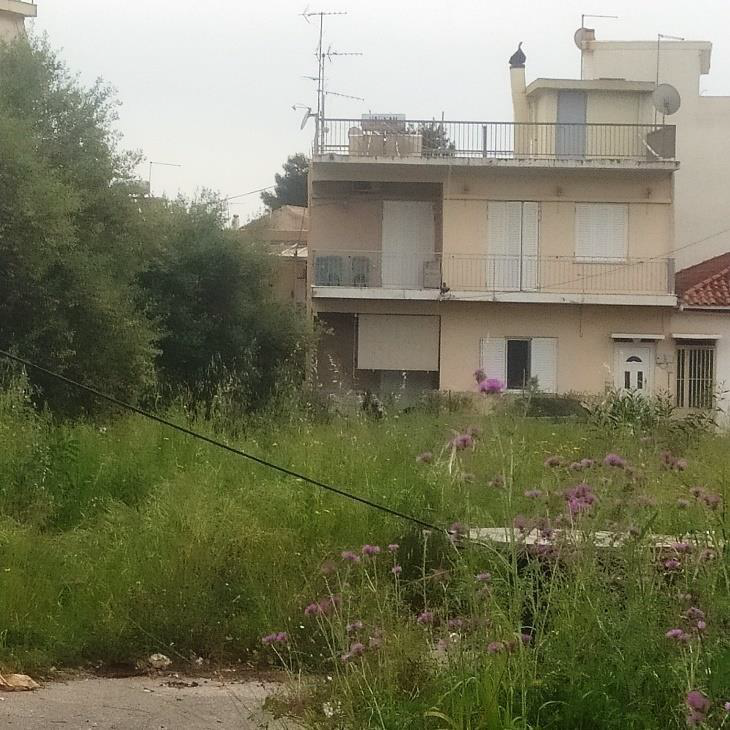 Κατοικία  σε πλειστηριασμό Municipality of Kalamata