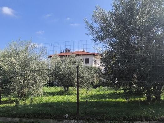 Οικόπεδο με κτίσμα 973 sq.m. σε πλειστηριασμό Municipality of Dion - Olympus