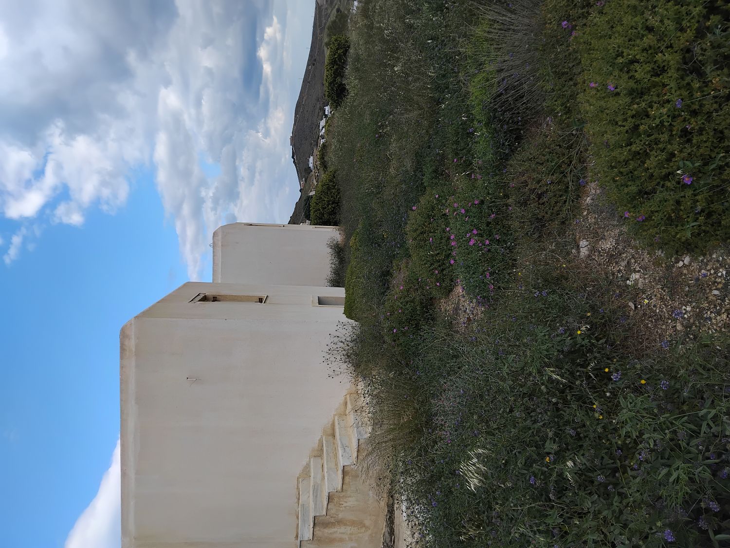 photo5