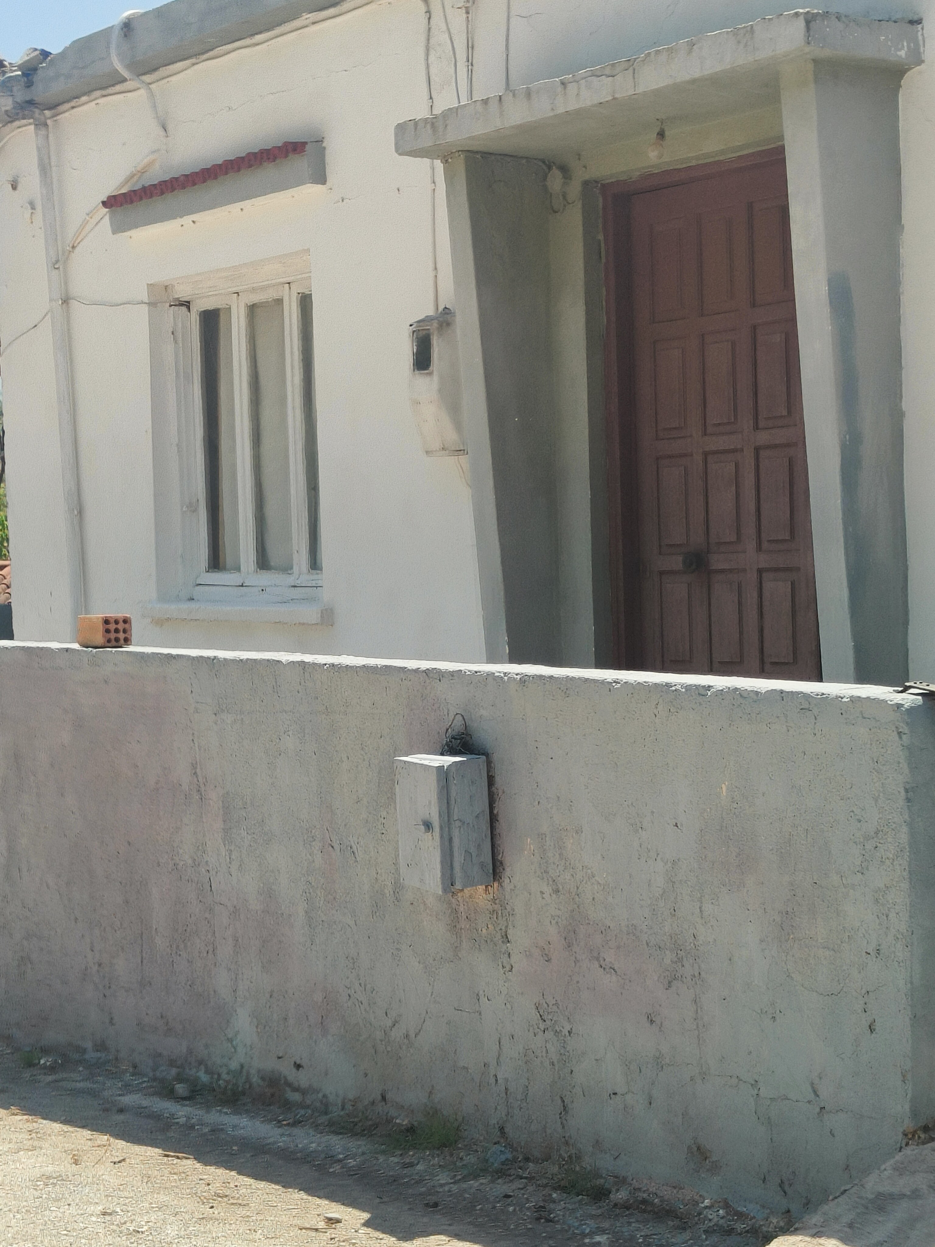 photo1