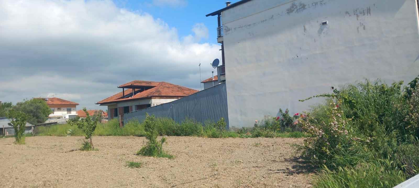 photo1
