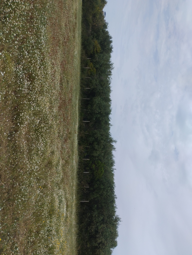 photo1