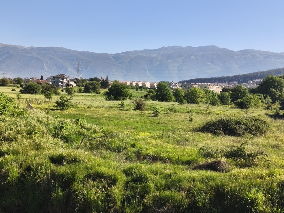 Αγροτεμάχιο  σε πλειστηριασμό Δήμος Ιωαννιτών