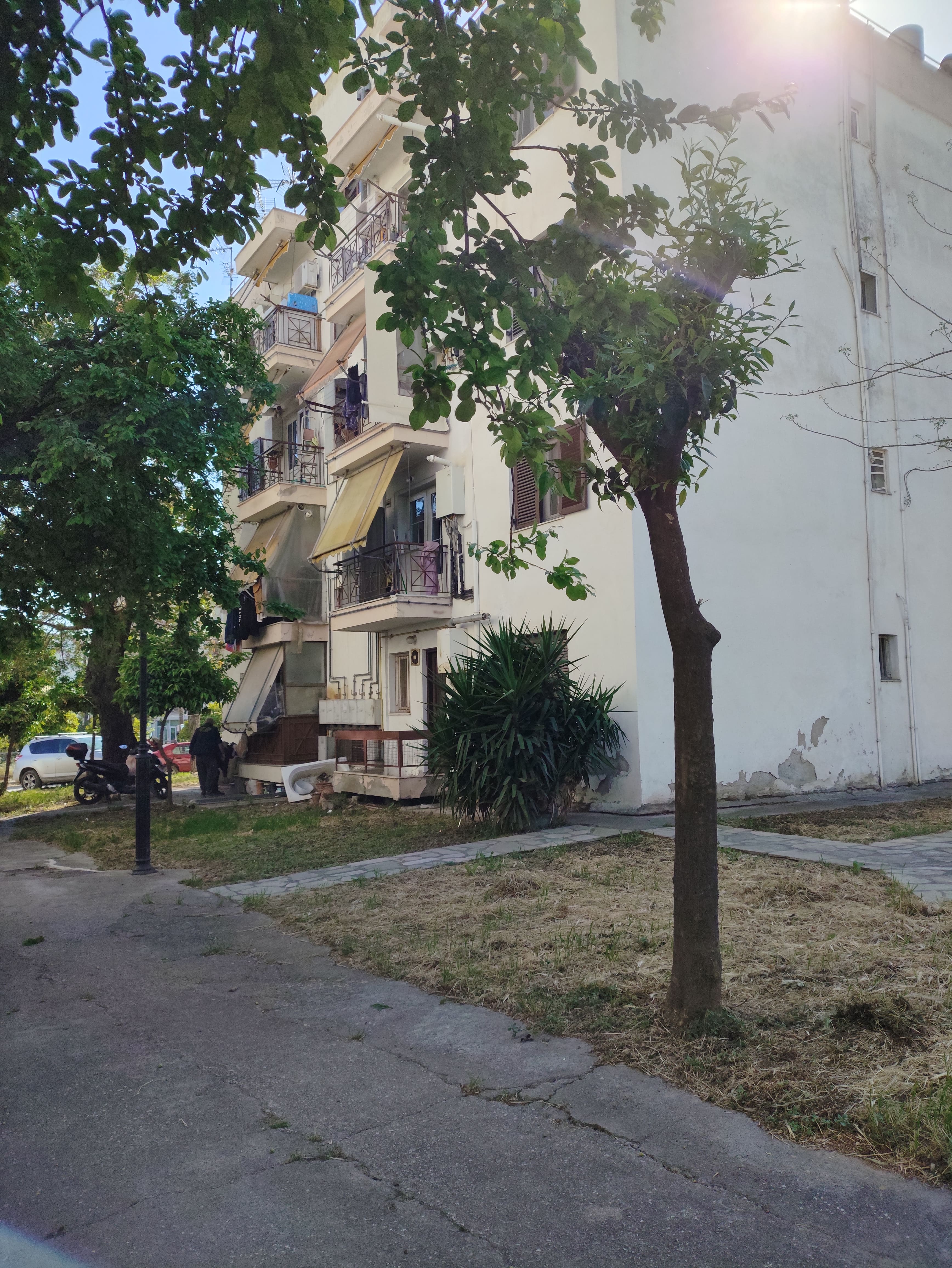 photo1