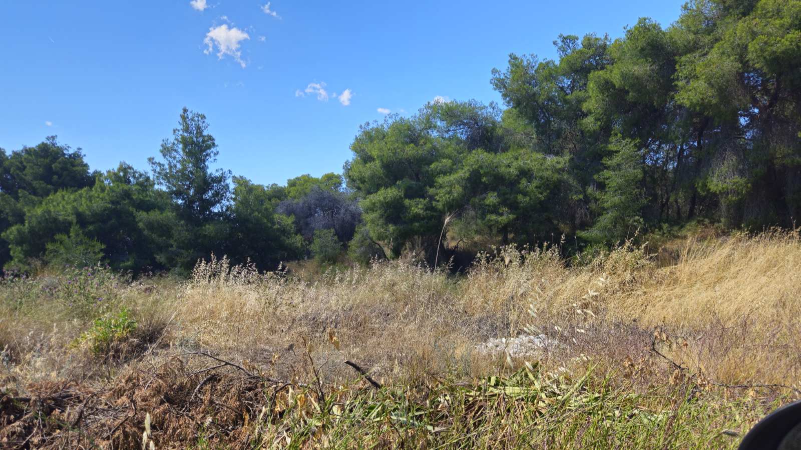 Οικόπεδο  σε πλειστηριασμό Municipality of Loutraki - Perachora - Ag. 