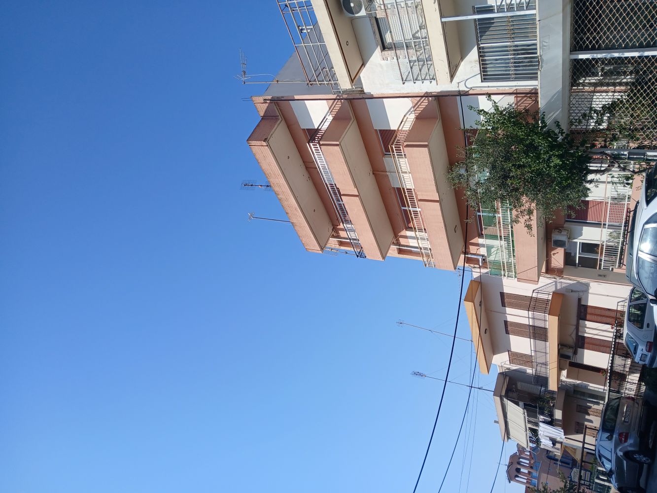 photo1