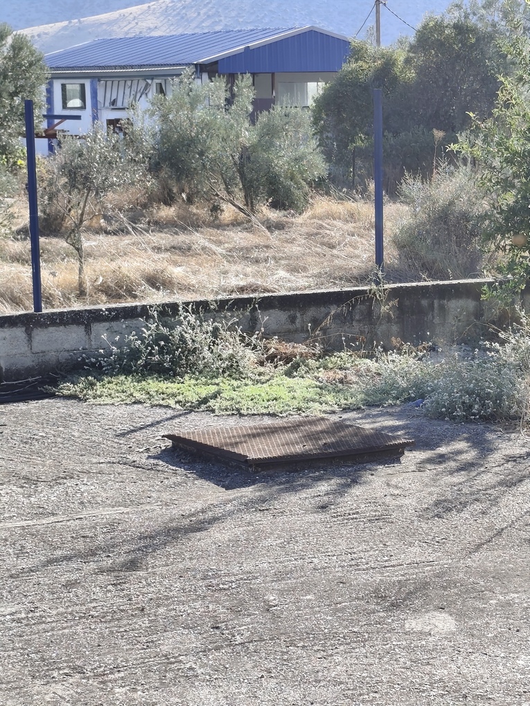 photo1