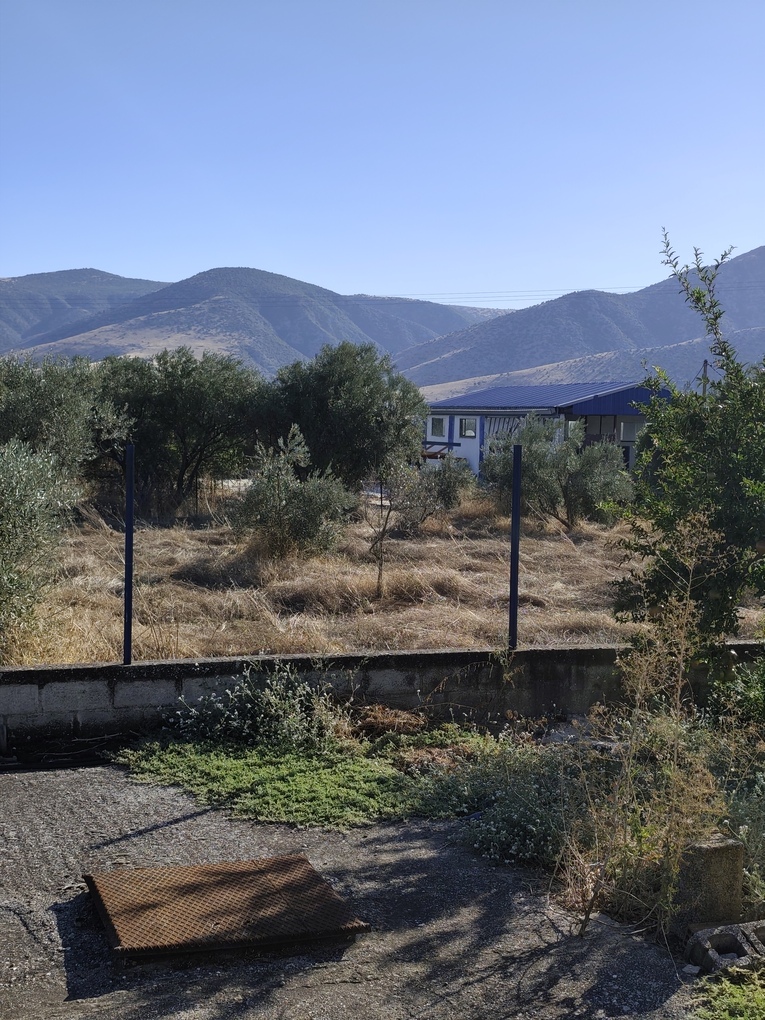 Αγροτεμάχιο με κτίσμα  σε πλειστηριασμό Δήμος Τυρνάβου