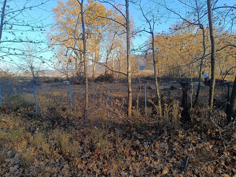 photo1