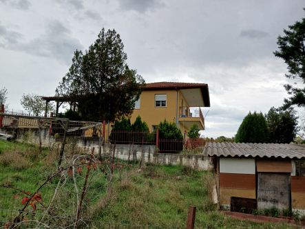 photo1