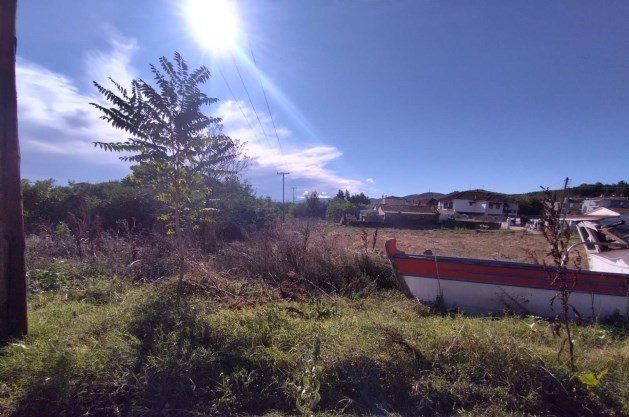 photo0