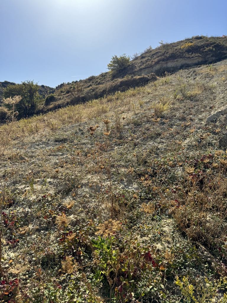 photo1