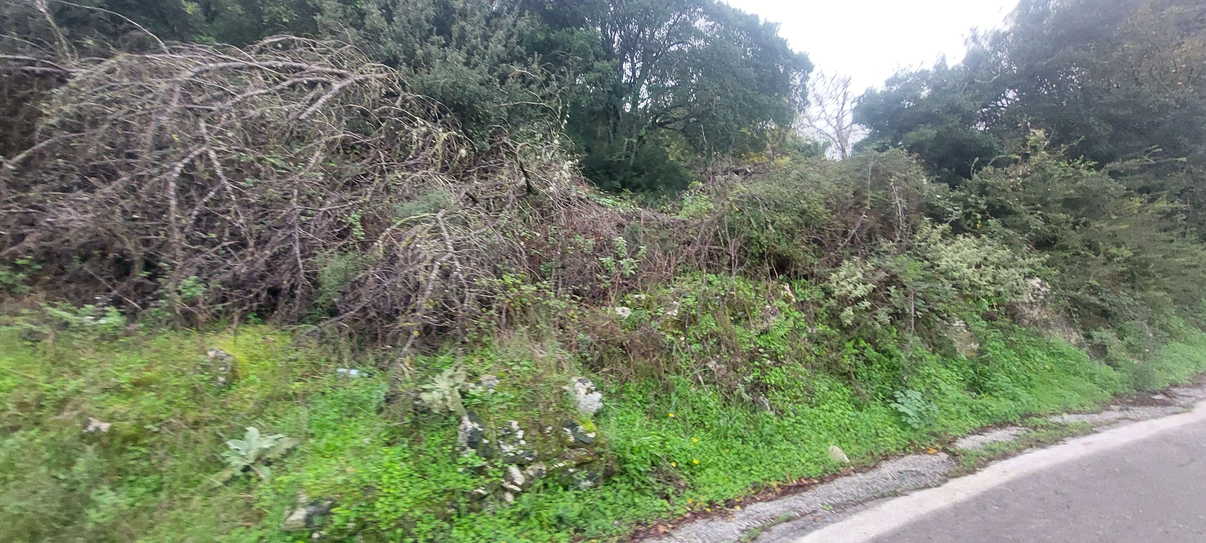photo1