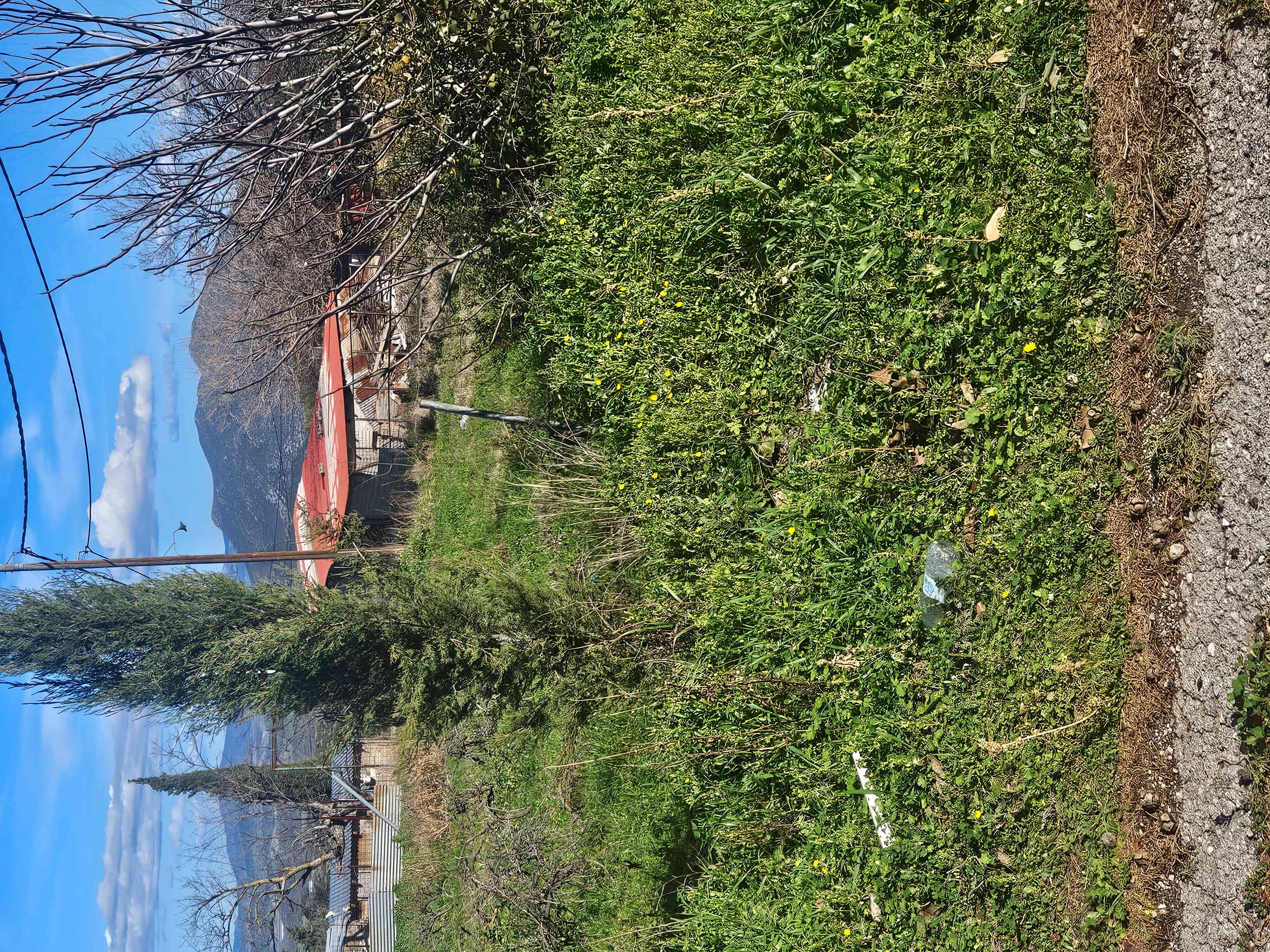 photo1