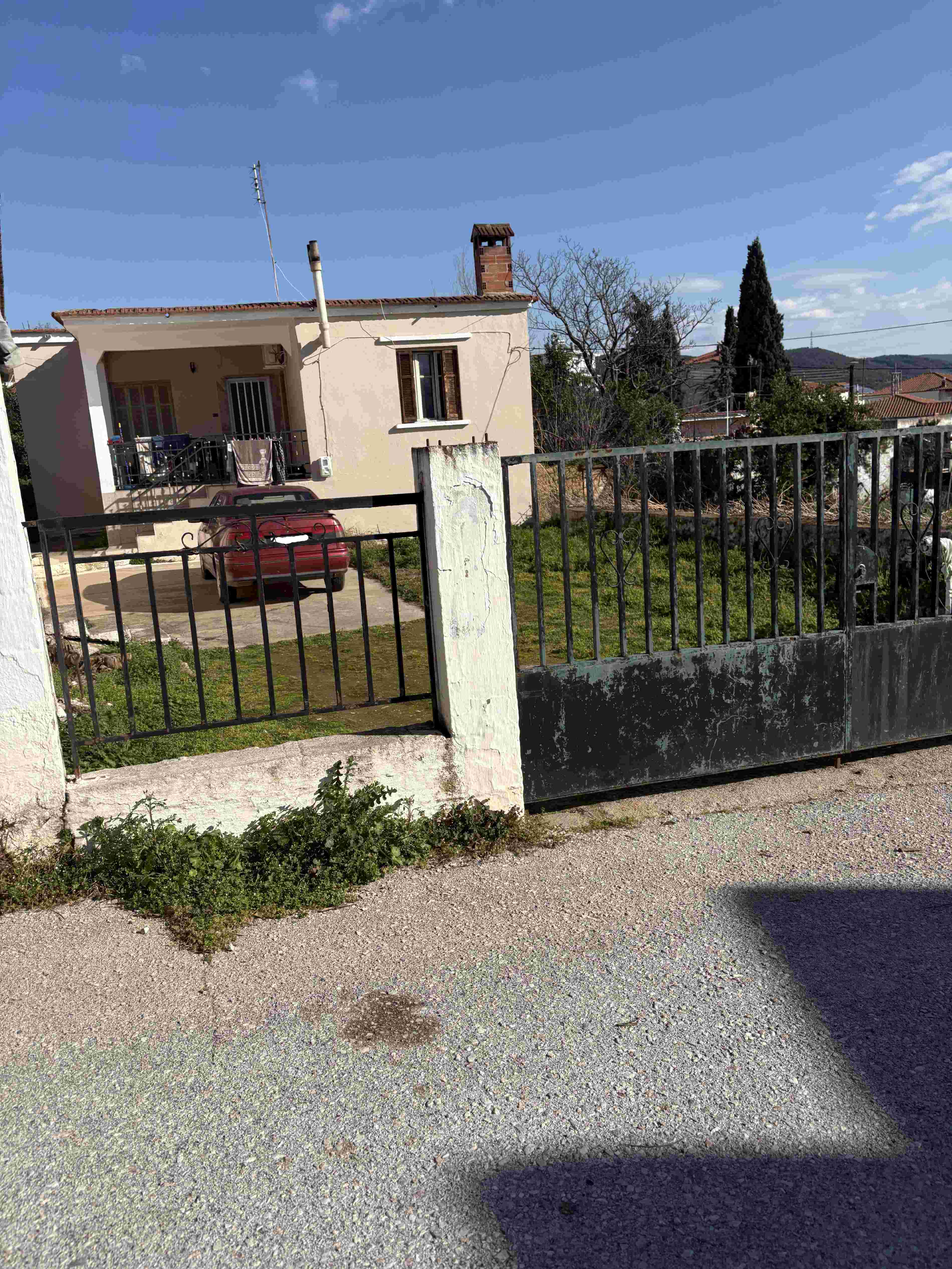 photo1
