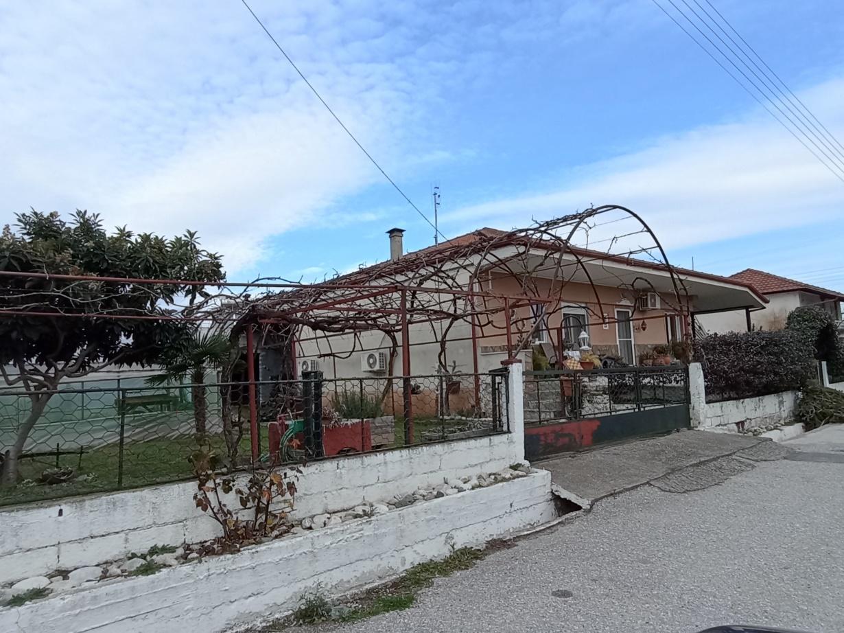 photo6