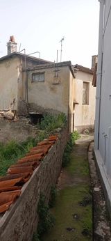 photo1