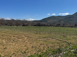 photo1