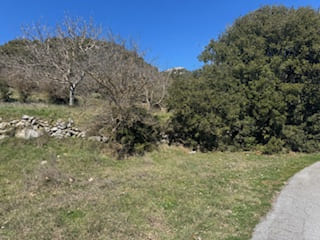 photo4