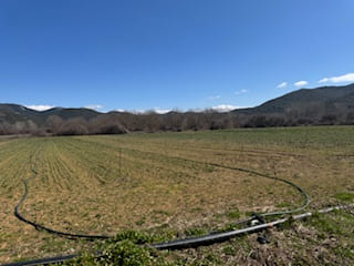 photo5