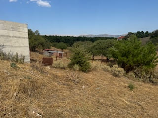 photo3