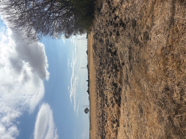 photo1