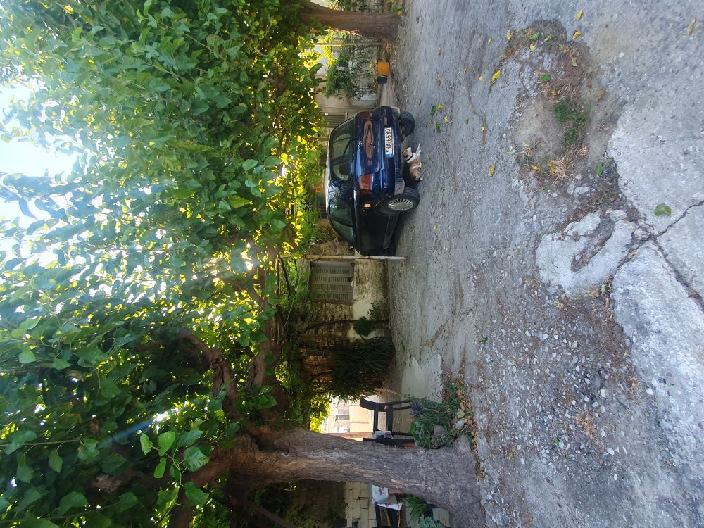 Οικόπεδο με κτίσμα  σε πλειστηριασμό Δήμος Ναυπακτίας 