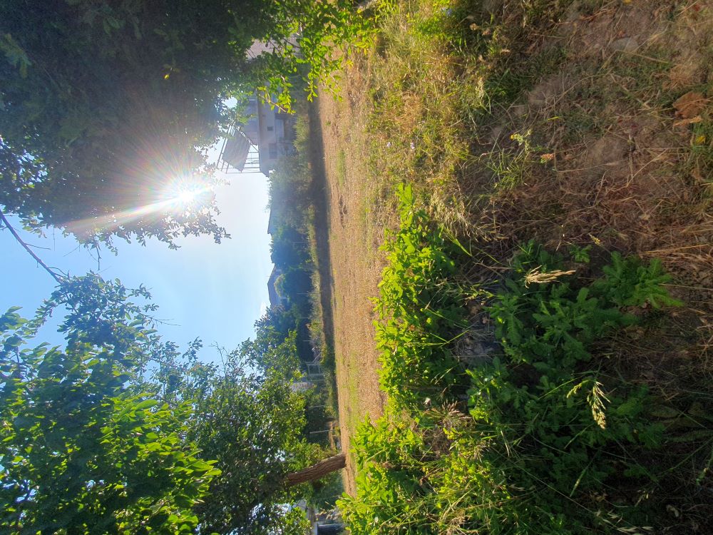 Οικόπεδο  σε πλειστηριασμό Δήμος Ναυπακτίας 