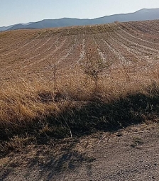 Αγροτεμάχιο  σε πλειστηριασμό Δήμος Κοζάνης