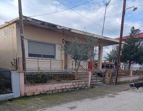 Οικόπεδο με κτίσμα 600 τ.μ. σε πλειστηριασμό Δήμος Αλεξάνδρειας