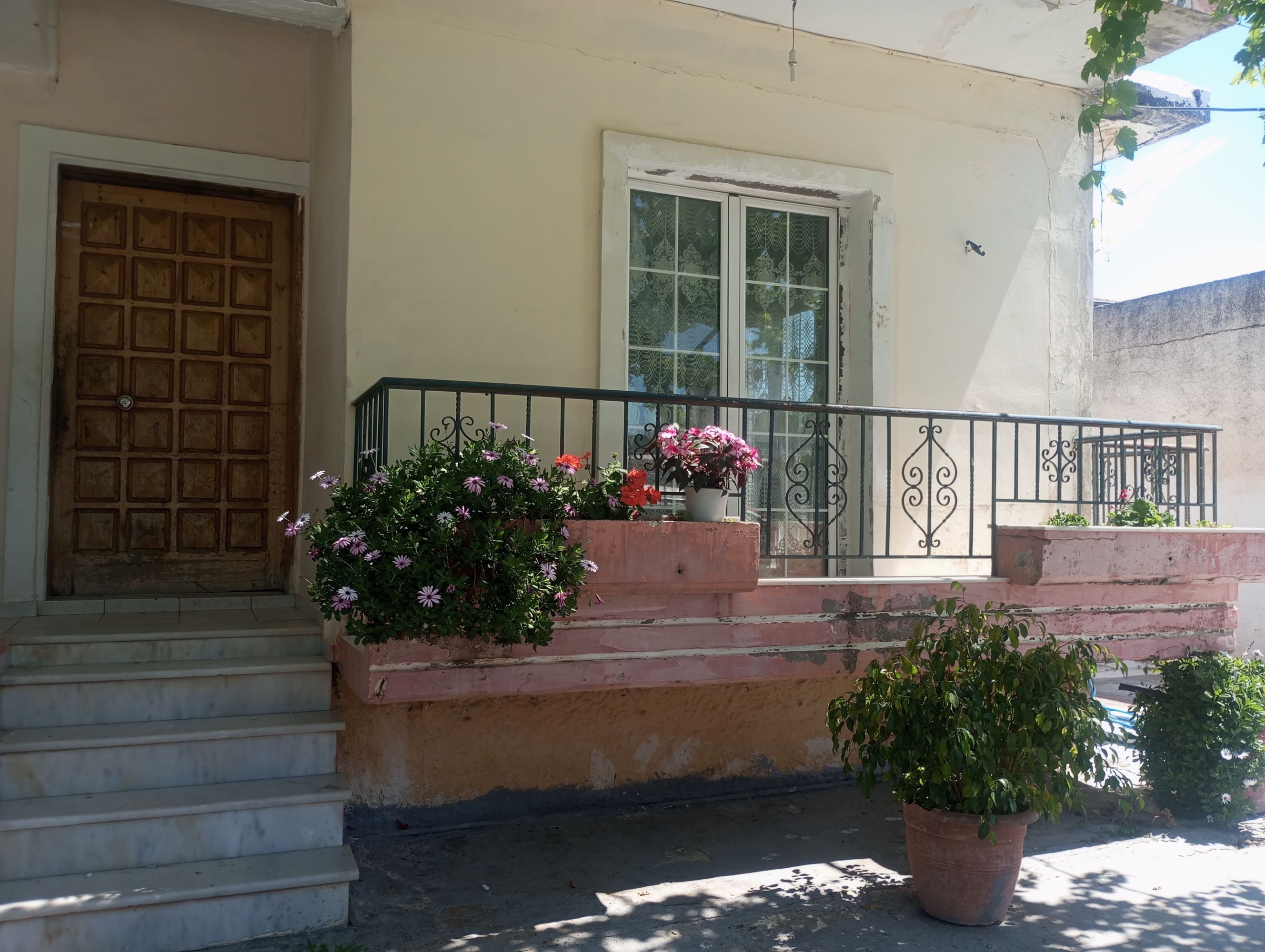 photo1