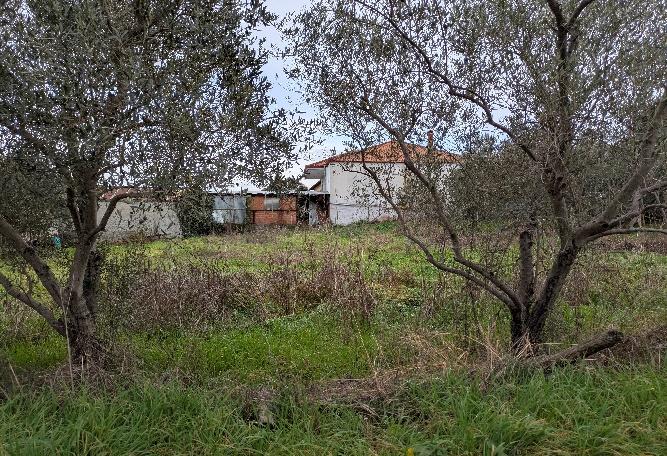 Οικόπεδο με κτίσμα 300 τ.μ. σε πλειστηριασμό Δήμος Αλεξάνδρειας
