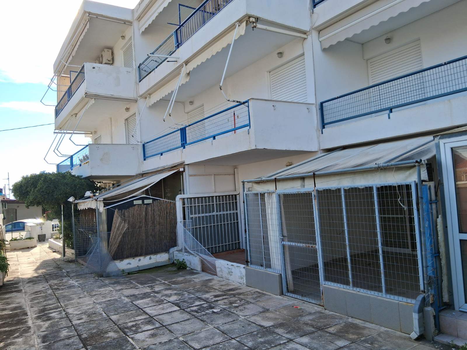 photo1