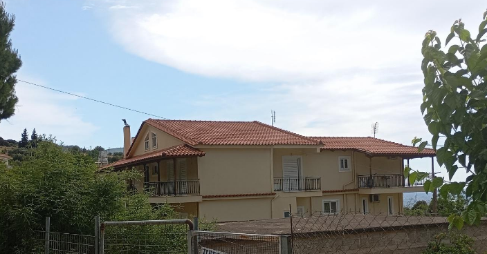 photo1