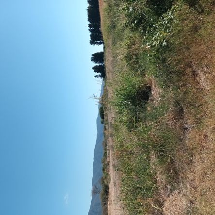 photo1