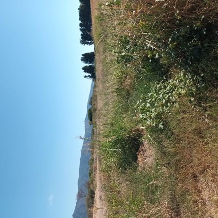 Αγροτεμάχιο 720 τ.μ. σε πλειστηριασμό Δήμος Βόλβης