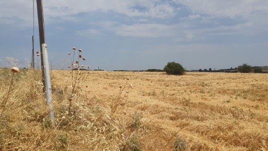photo1