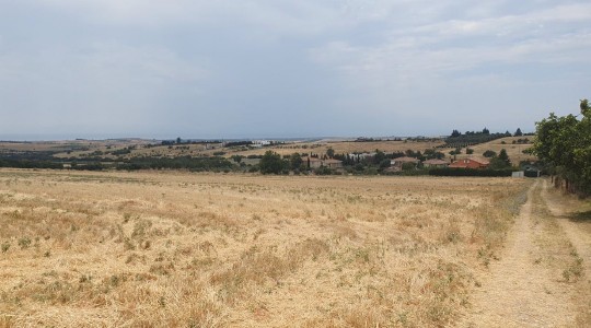 Αγροτεμάχιο  σε πλειστηριασμό Municipality of Thermi