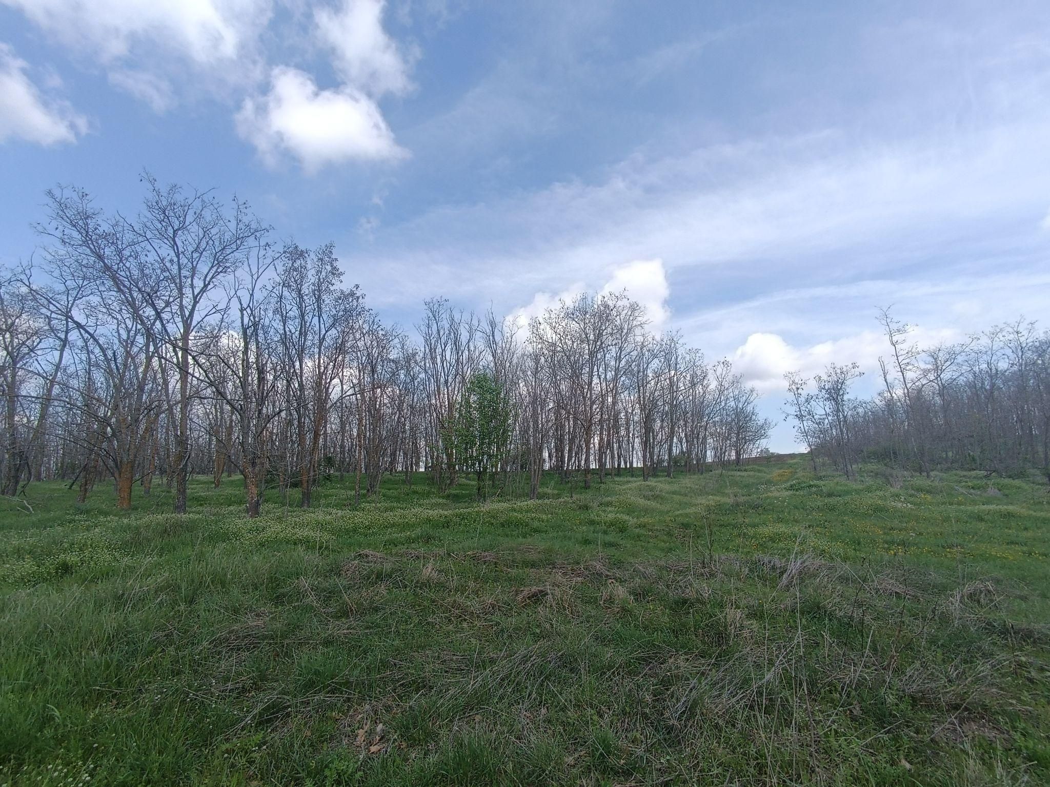 photo1