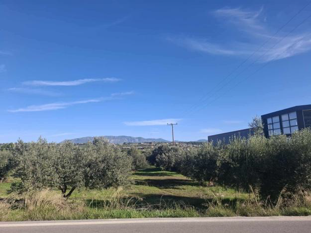 Αγροτεμάχιο  σε πλειστηριασμό Δήμος Κορινθίων