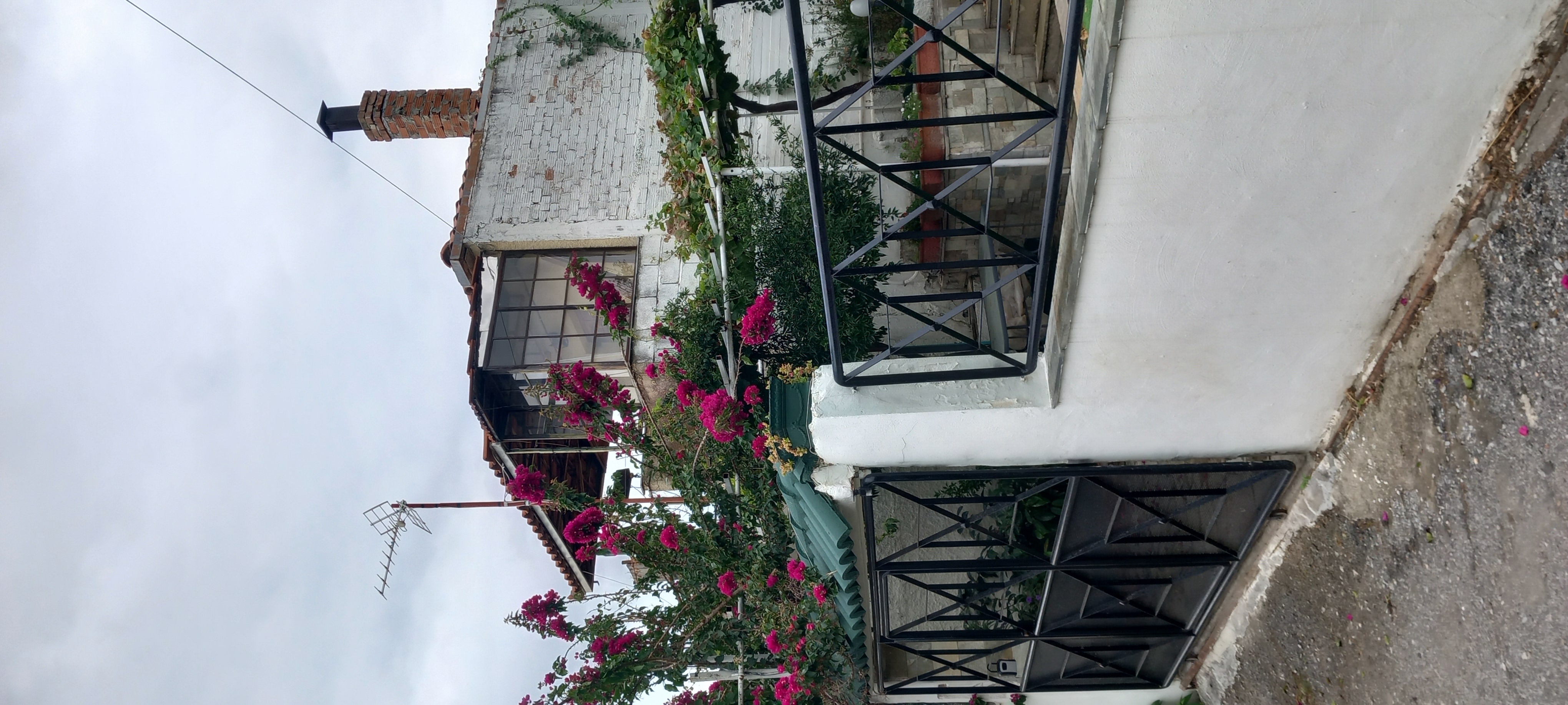 photo1