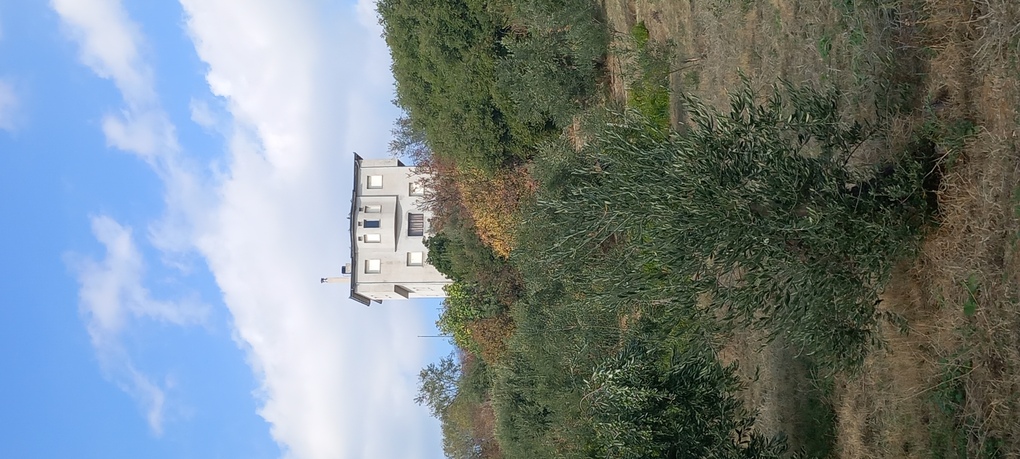 photo0